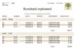 Rezultatul exploatarii - detaliat